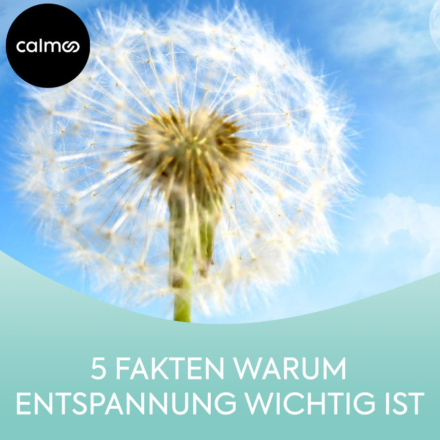 5 Fakten, warum Entspannung im Alltag wichtig ist