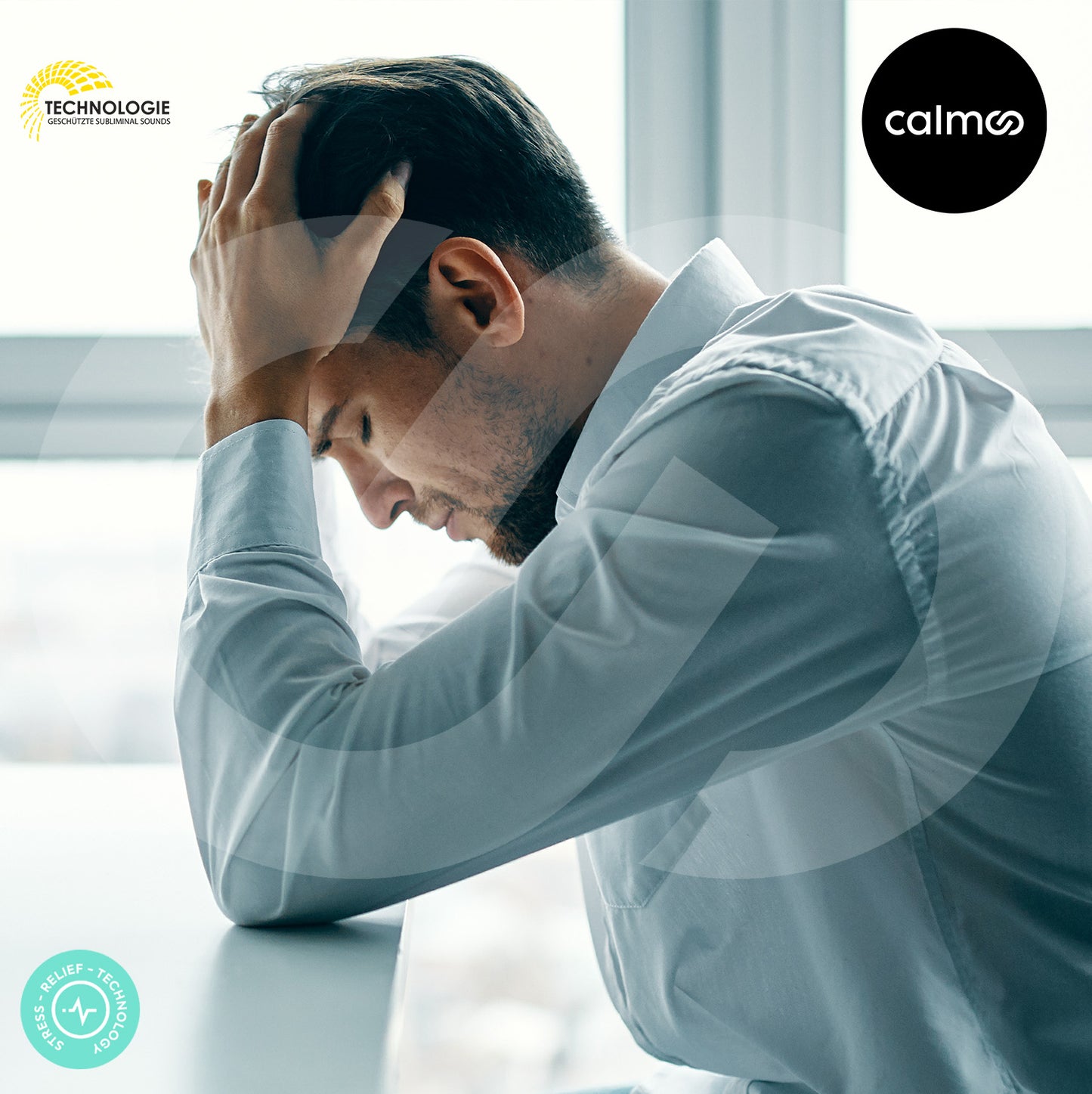 calmoo | Pure Relax System